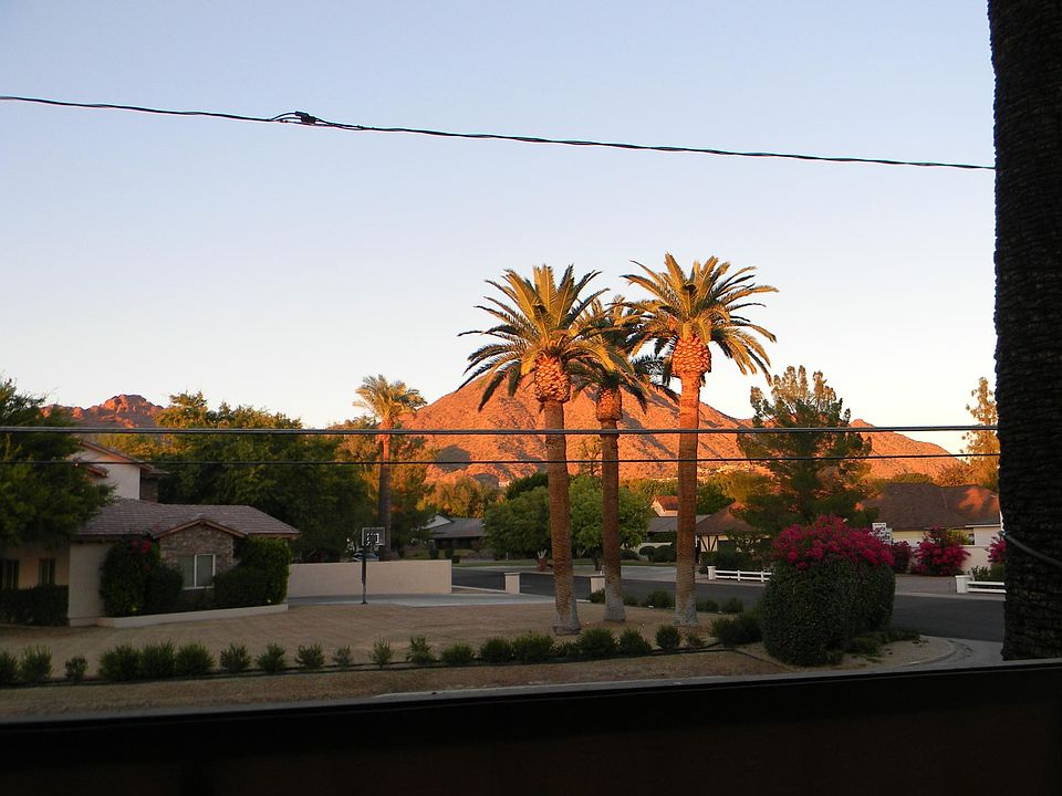 Your View