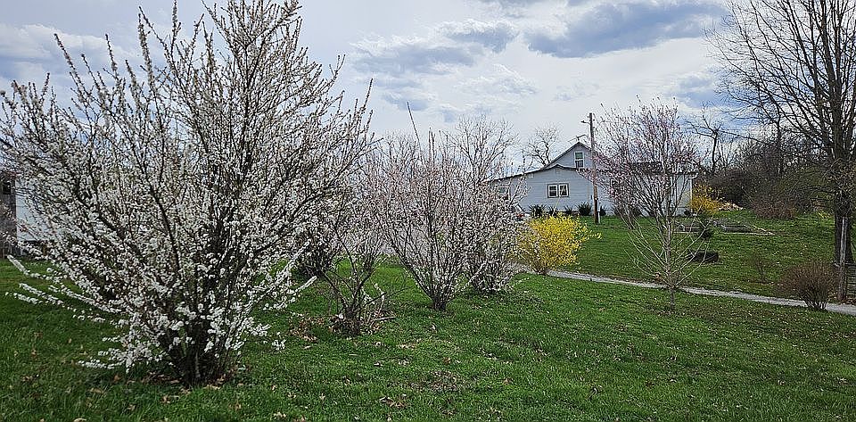 1st image of 8034 Hominy Ridge Rd