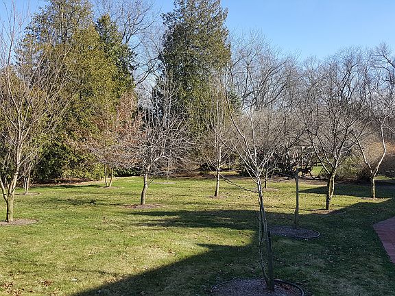Partial view of lot 