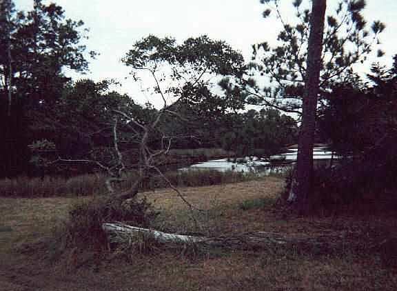 4th image of 50811 Timber Trl