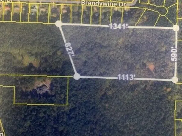 294 Oakridge Dr, Forsyth, GA 31029