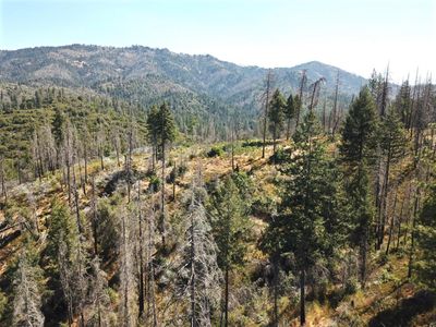 Old Yosemite Rd, Coulterville, CA, 95311