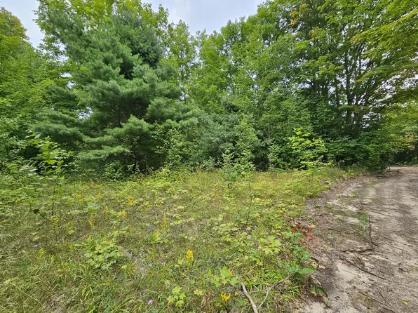 LOT H 33 #H, Gould City, MI 49838