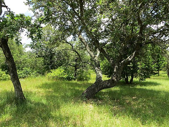 3rd image of 1100 Wagon Wheel Dr
