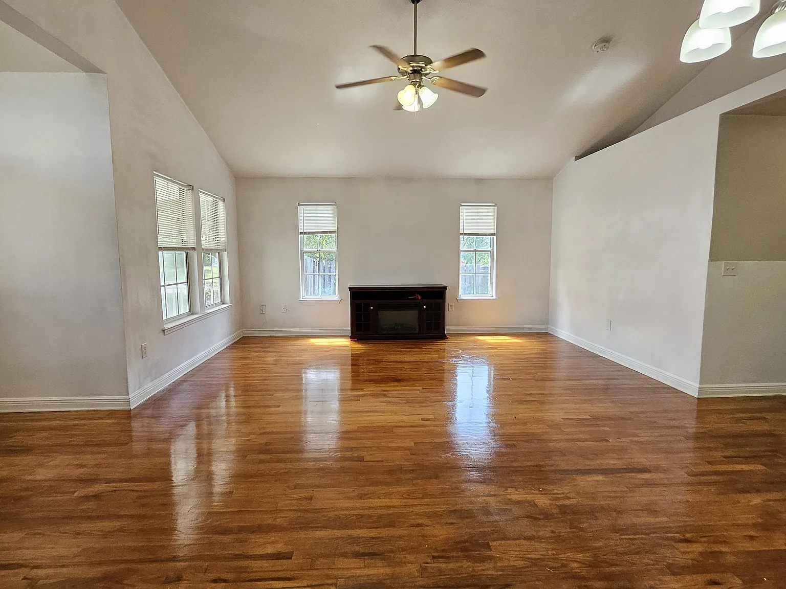 3316 Golden Rain Dr — Photo 3