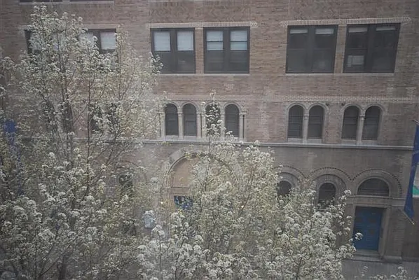 Rented by Luxury Habitat | media 5