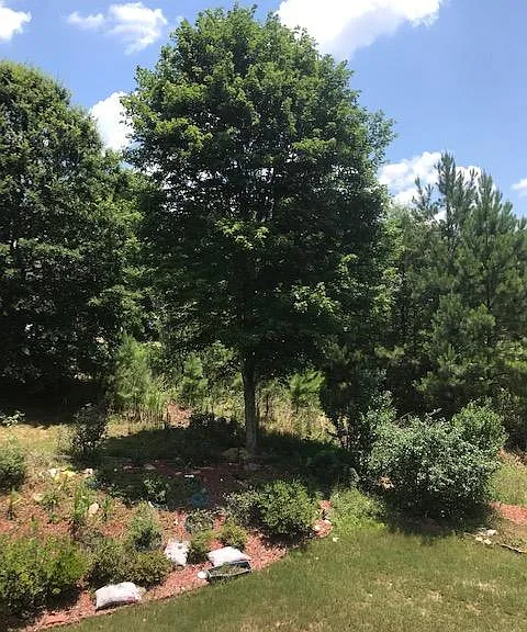 3138 Brookwood Oak Ln SW — Photo 27