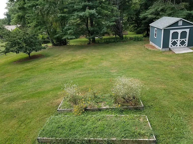224 Price St — Photo 13