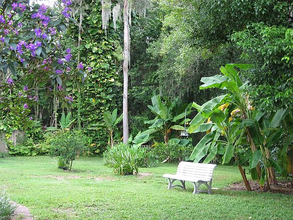 TROPICAL PARADISE!!  COMPLETE WITH BANANA TREES, PINEAPPLE, & ORANGE TREES