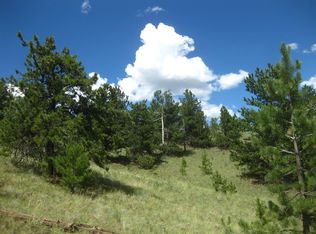 Buckhorn Trl, Guffey, CO 80820