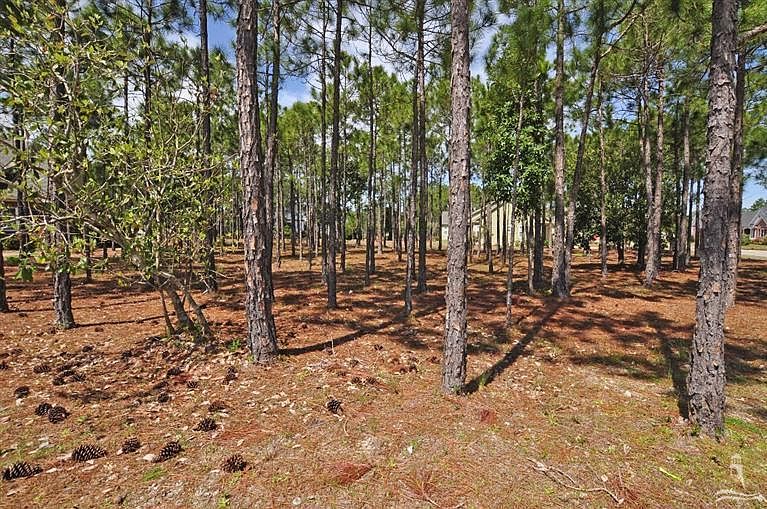 1st image of L-155 Moss Hammock LOT 155
