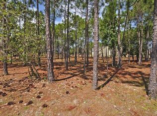 155 Moss Hammock Wynd #L, Southport, NC 28461