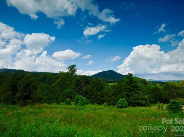 29 Bear Flower Trl Lot 10, Arden, NC 28704