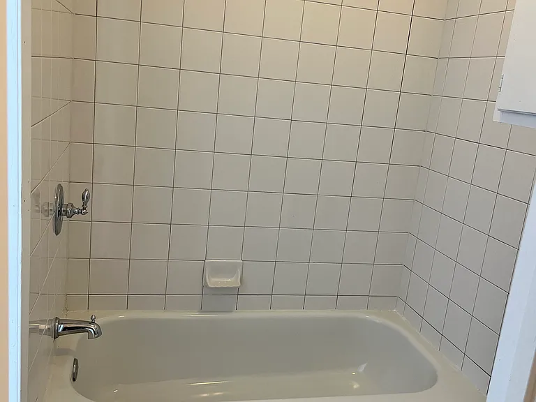Bathtub/Toilet
