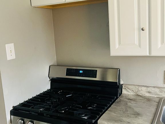 3rd image of 225 Dundee Cir