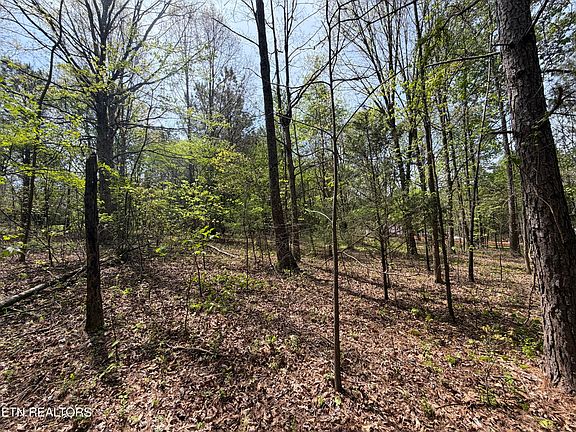 5th image of 3.04 Dry Valley Rd