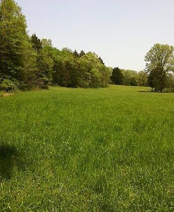 4th image of 100 Cedar Tree Ct