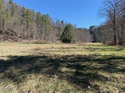 Willis Cove Rd, Erwin, TN, 37650
