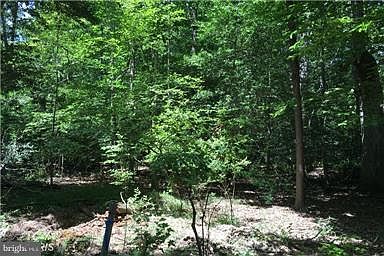 5th image of 9900 Tall Pines Pl