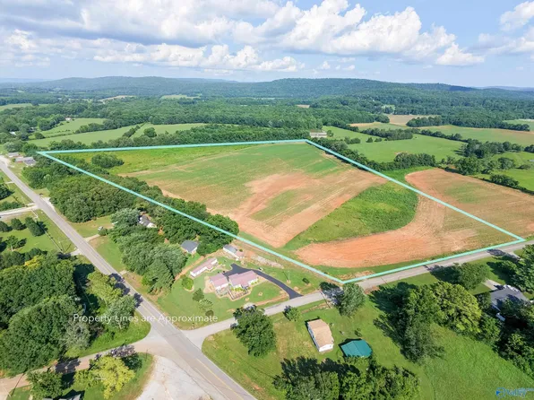 37AC Steele Ln, New Market, AL 35761