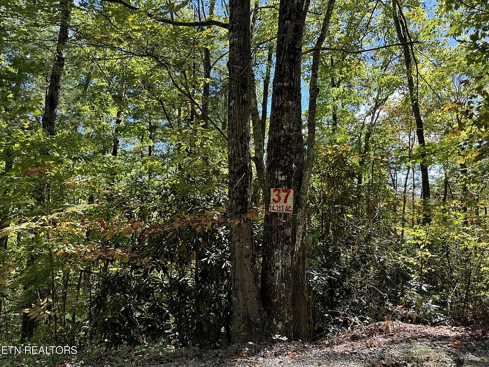1st image of 37 Joy Way Lot 37