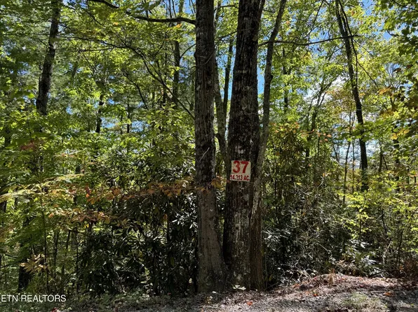37 Joy Way Lot 37, Hartford, TN 37753