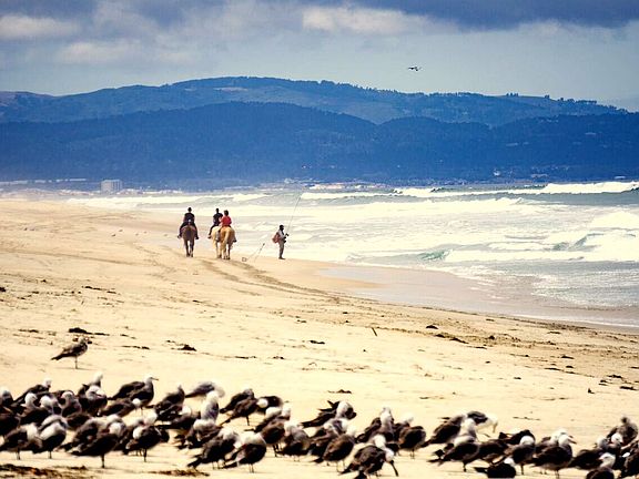 3rd image of 278 Monterey Dunes Way