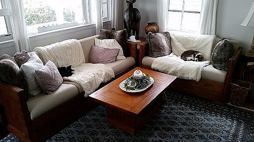 Bright cozy living room