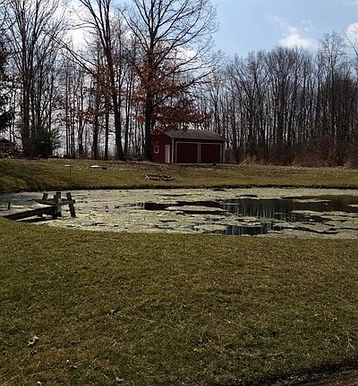 2nd image of 83 Lakewood Dr