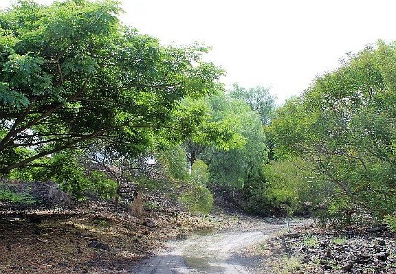 5th image of 72-4067 Alahee Pl Lot 34