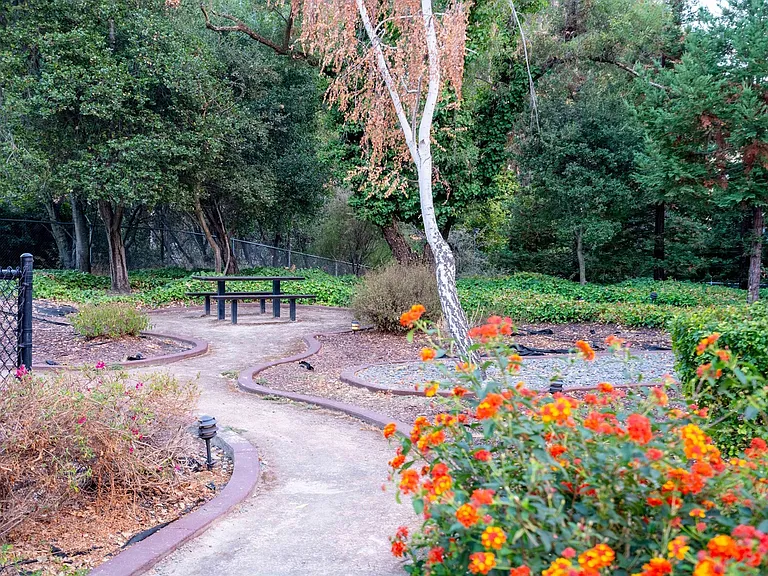 Zen Garden | Creekwood | Apartments For Rent In Hayward CA