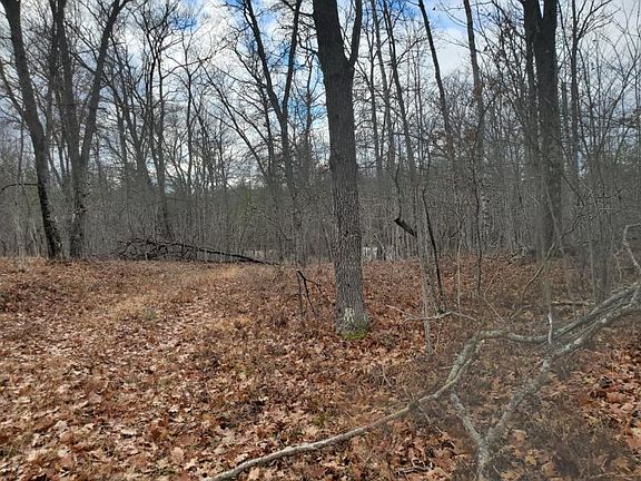 3rd image of 18200 Ess Lake Dr