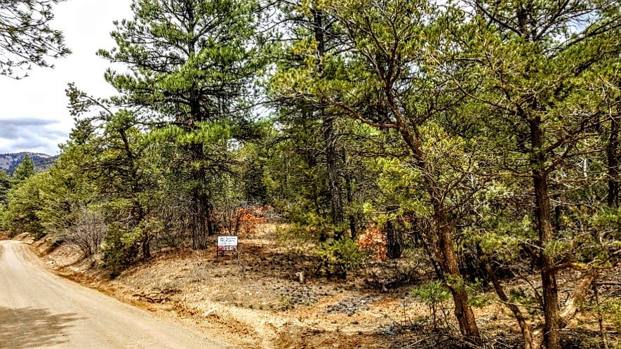 1st image of Gallina Canyon Rd.  N 36.55079 W 105.59430