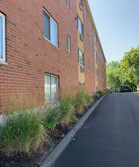 286 Pine St — Photo 2
