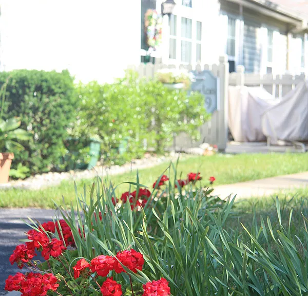 The Meadows Ranch Apartments — Photo 6