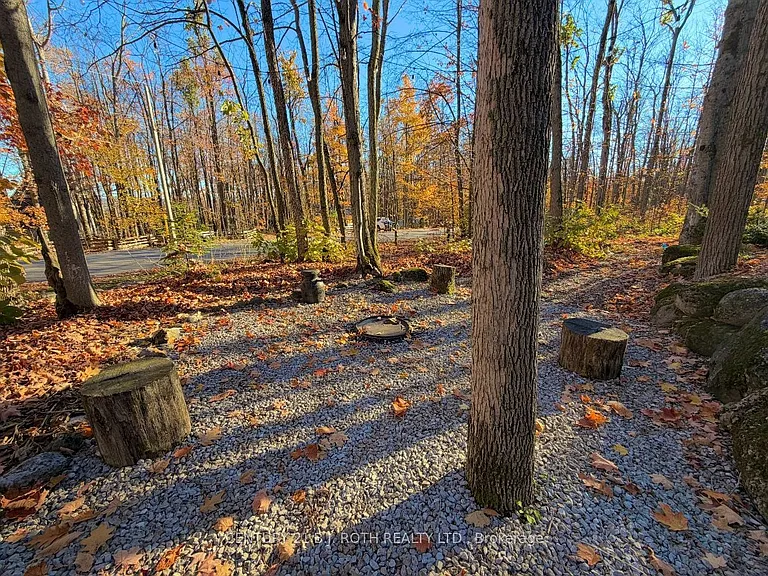 10 Slalom Dr #ORO — Photo 16