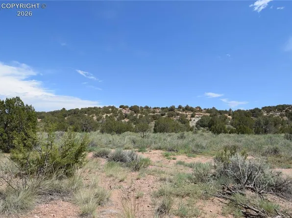 1067 County Road 143, Penrose, CO 81212
