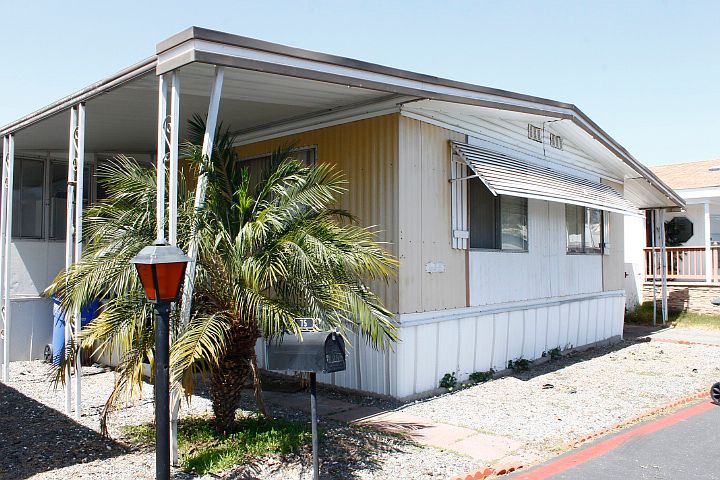 Front entry with palm tree