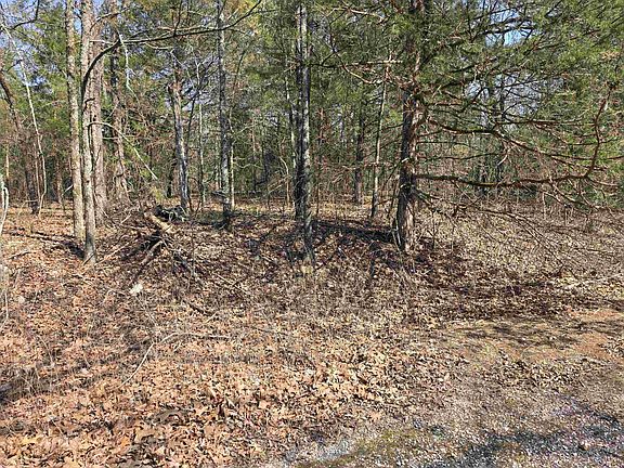 5th image of L3-B2 Inca Trce