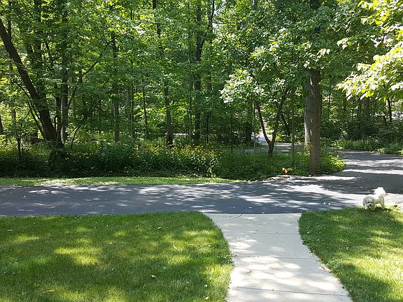 looking from the front door