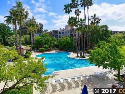 360 N Civic Dr APT 506, Walnut Creek, CA, 94596
