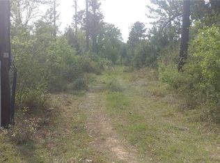 107 Pines Park Dr, Smithville, TX 78957