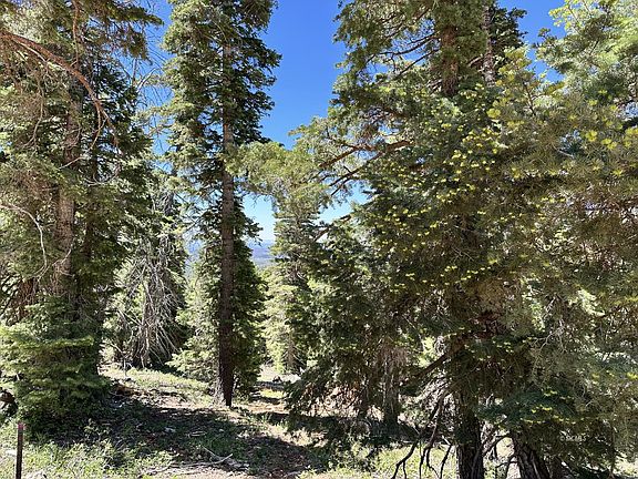 2nd image of W North Fork Rd