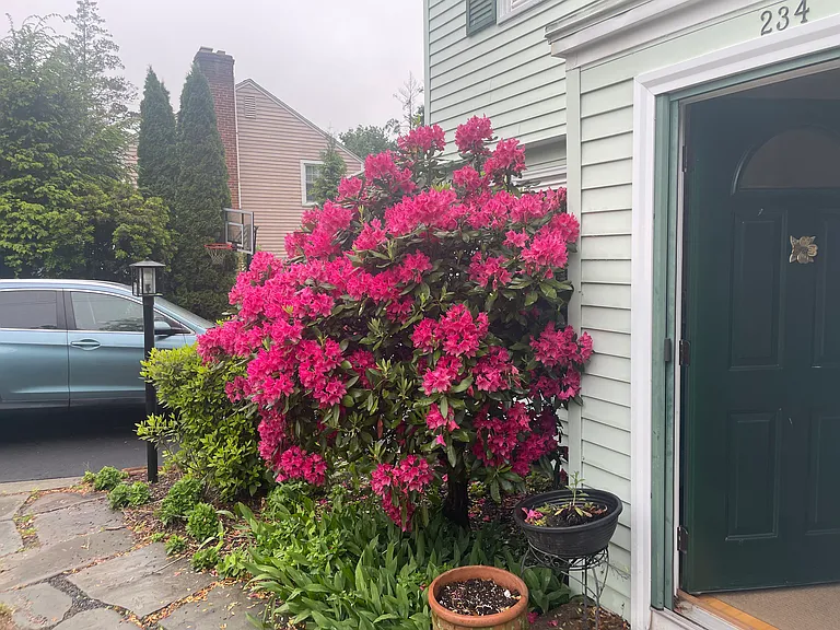 234 Ridgewood Rd — Photo 4