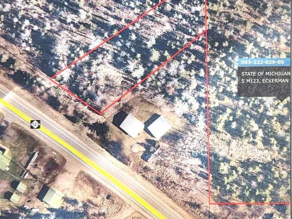 9563 S M 123, Eckerman, MI 49728