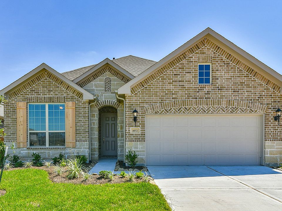 Olive with Elevation U