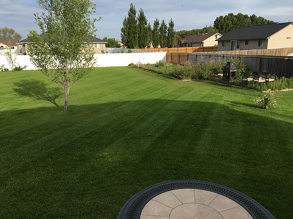 Backyard with garden plots