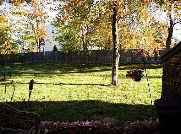 313 Winding way B/yard