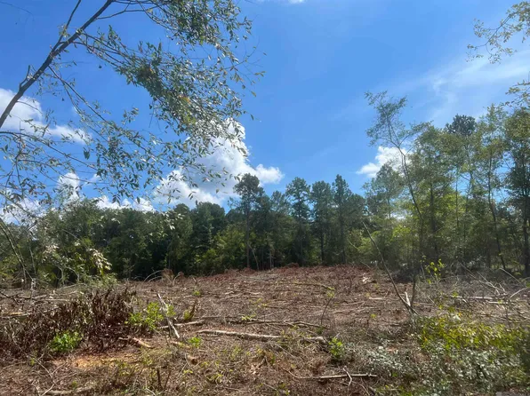 L Williams Rd, Clinton, LA 70722