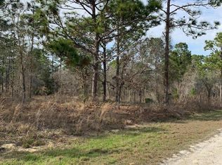 12459 Tinamou Ave, Weeki Wachee, FL 34614